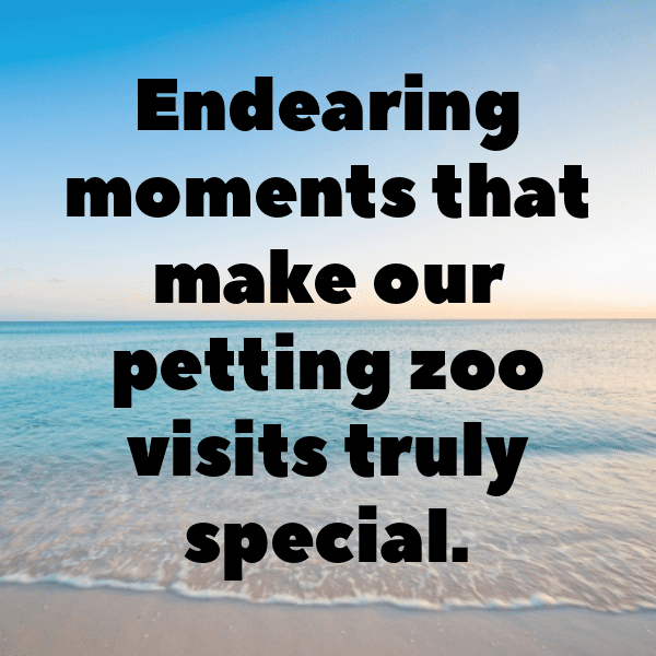 Salamander Captions Image For Instagram-PIgHPr