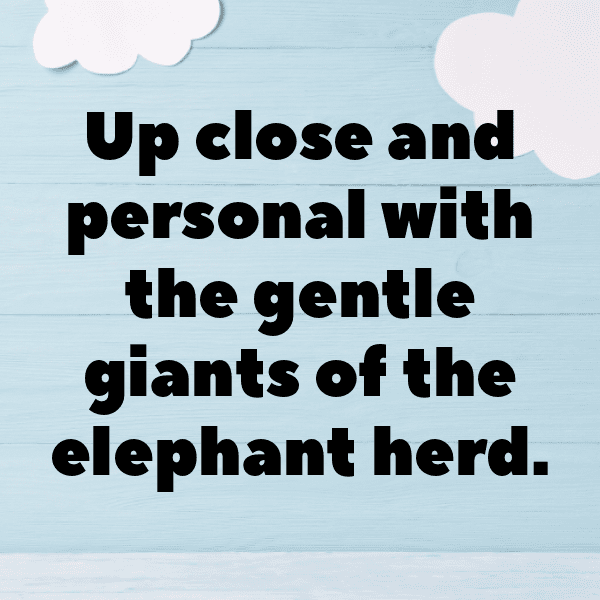 Salamander Captions Image For Instagram-WvhLuf