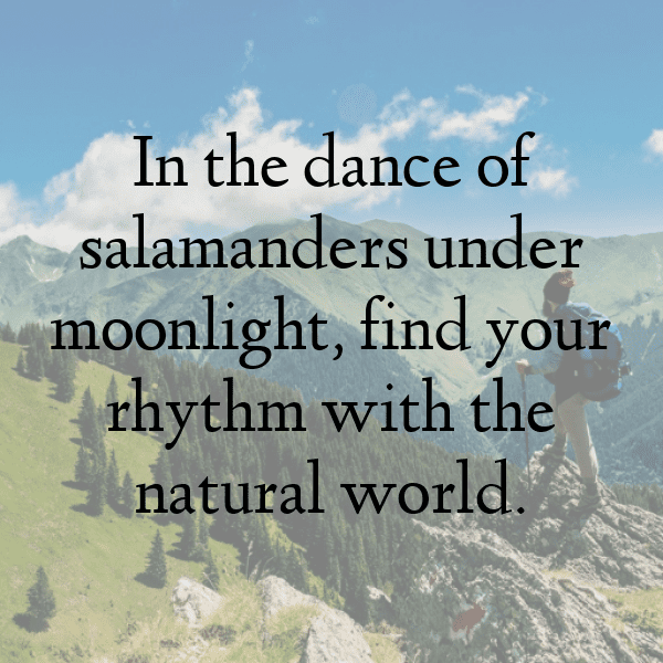 Salamander Captions Photo For Instagram-2BvF1C