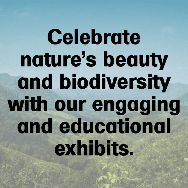 Salamander Captions Photo For Instagram-2Wb5Kn