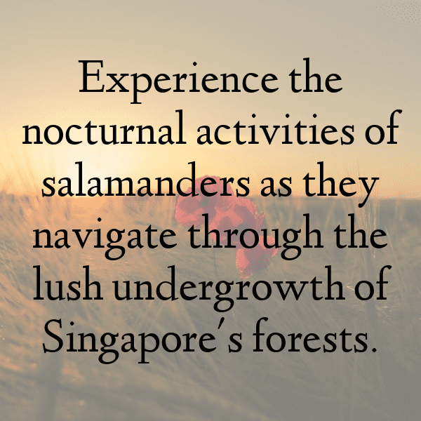 Salamander Captions Photo For Instagram-TLnw9k