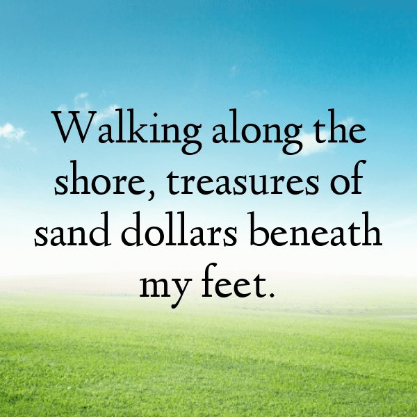 Sandboarding Captions Image for Instagram-WTc7Vb