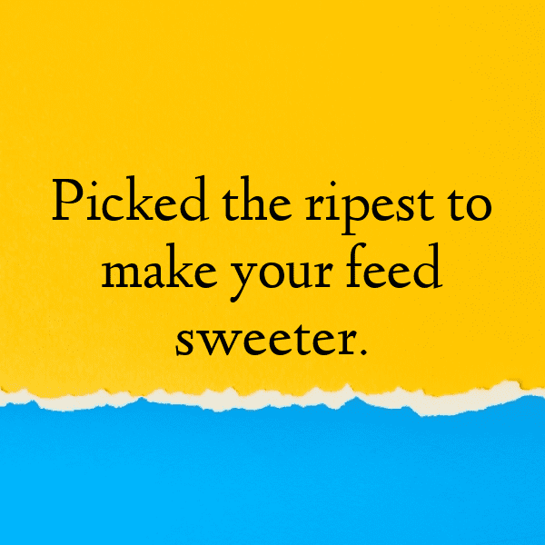 Santol Captions Image For Instagram-AkMTfz