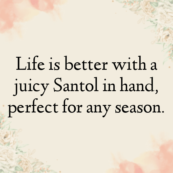 Santol Captions Photo For Instagram-rj2OMH