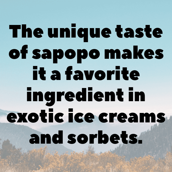 Sapote Captions Image For Instagram-4vmhOr