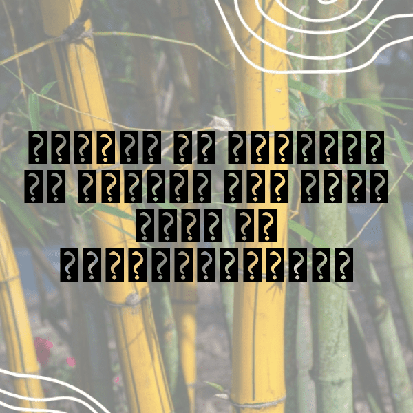 Sapote Captions Image For Instagram-bxz4fW