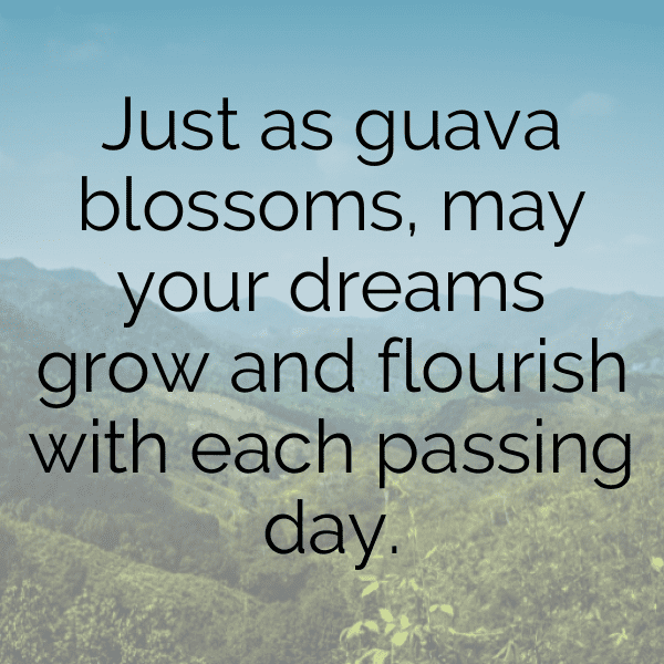 Sapote Captions Image For Instagram-sbGTCM