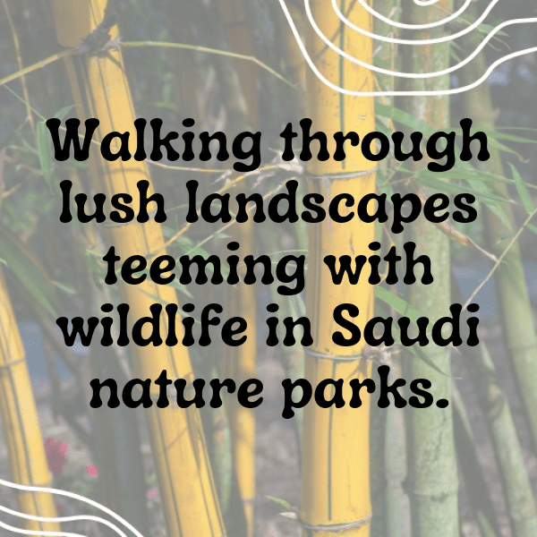 Saudi Arabia Captions Image For Instagram-HVyV7T