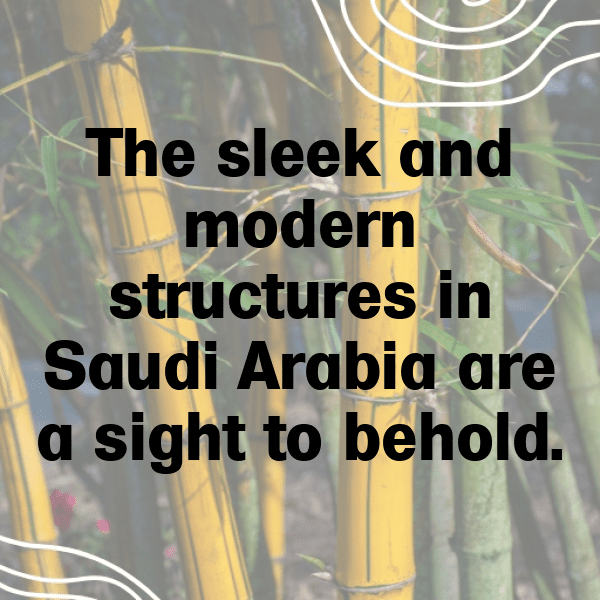 Saudi Arabia Captions Photo For Instagram-zHI4x9