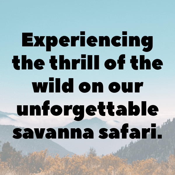 Savanna Safari Captions Image for Instagram-2A8w1n