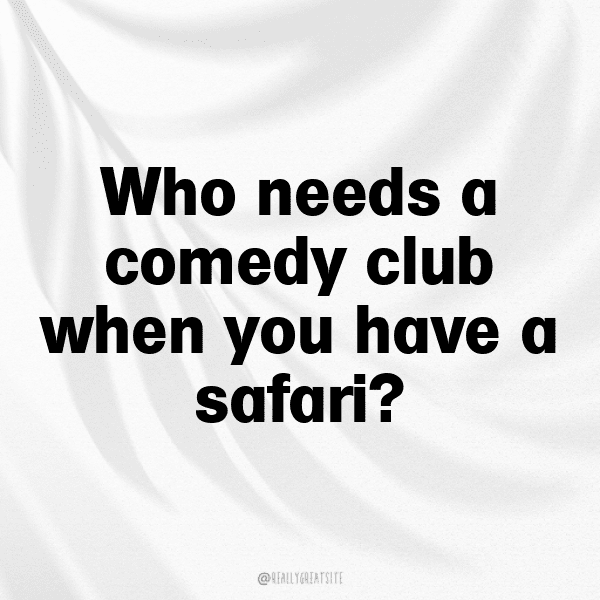 Savanna Safari Captions Image for Instagram-E4A5D9