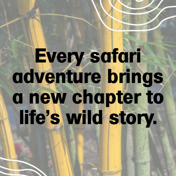 Savanna Safari Captions Image for Instagram-g12ruD