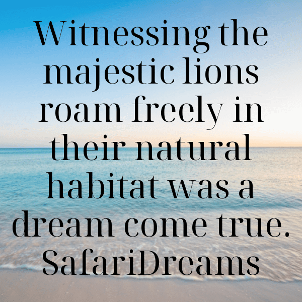 Savanna Safari Captions Image for Instagram-UJ7yza