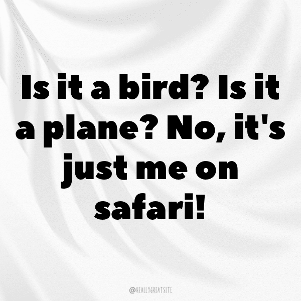 Savanna Safari Captions Photo for Instagram-PBafwF