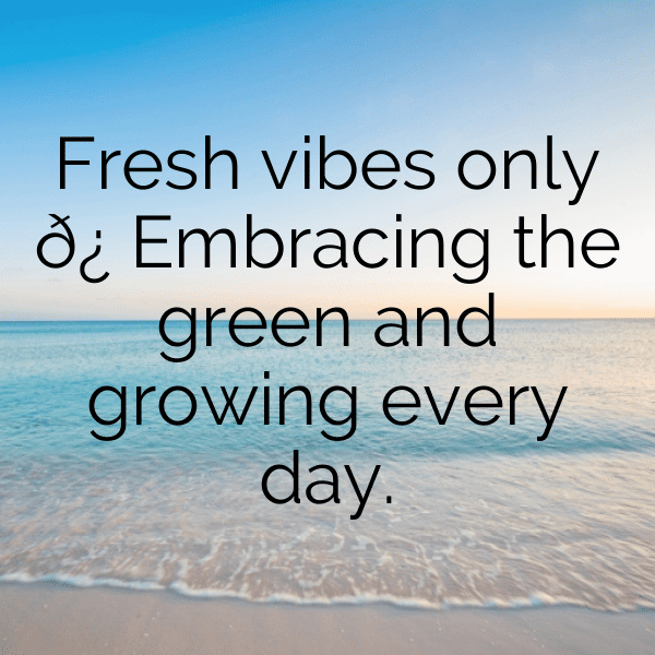 Scallion Captions Image For Instagram-O8nJjw