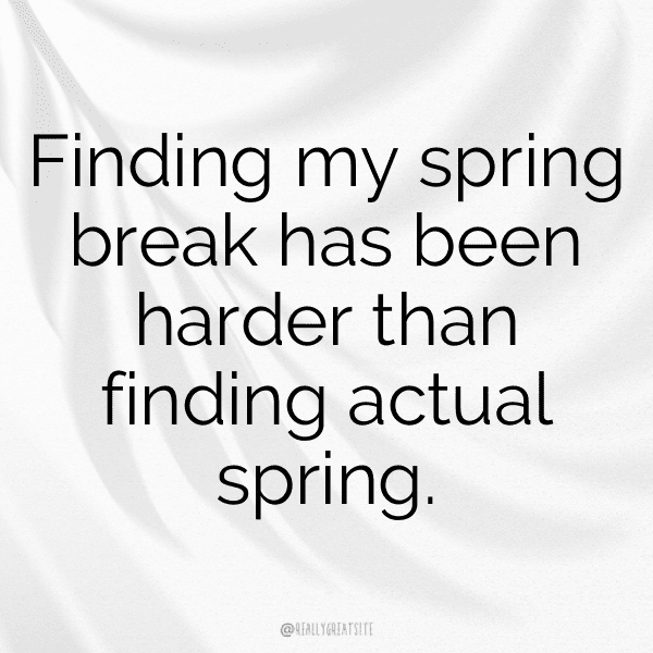 Scallion Captions Image For Instagram-ZwVbmi