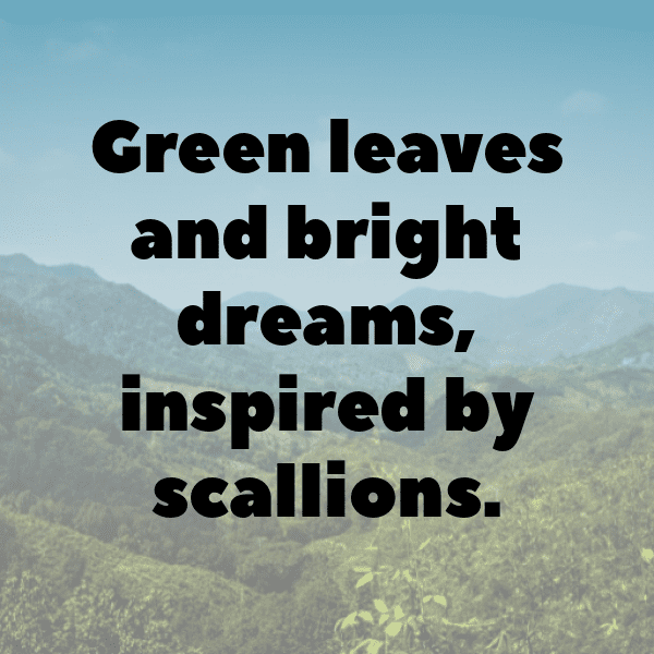 Scallion Captions Photo For Instagram-6LsDMe