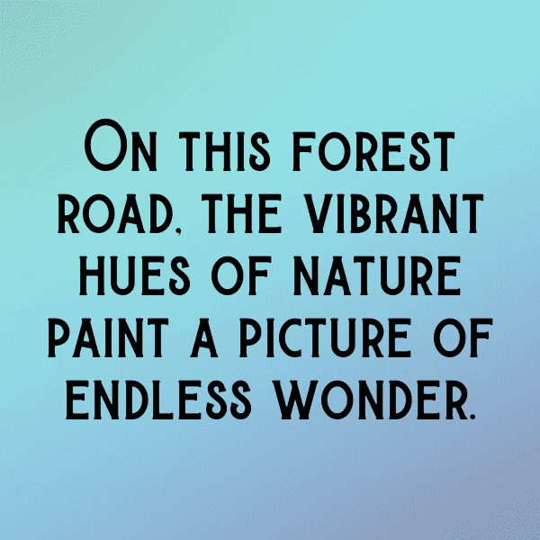 Scenic Drive Captions Image for Instagram-VKpIeW