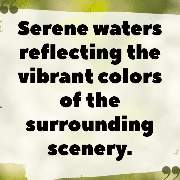 Scenic Drive Captions Photo for Instagram-BQIPbX