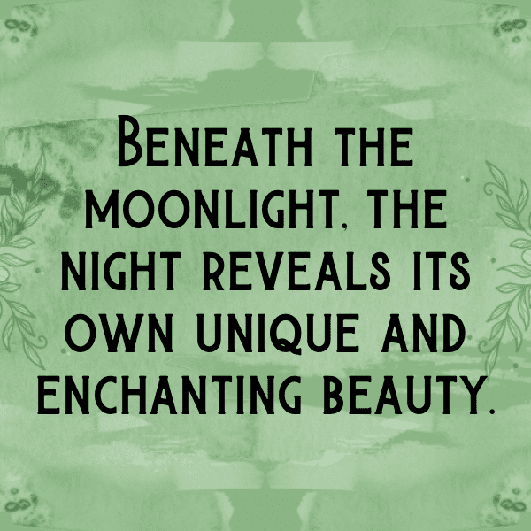 Scenic Drive Captions Photo for Instagram-SKwFym