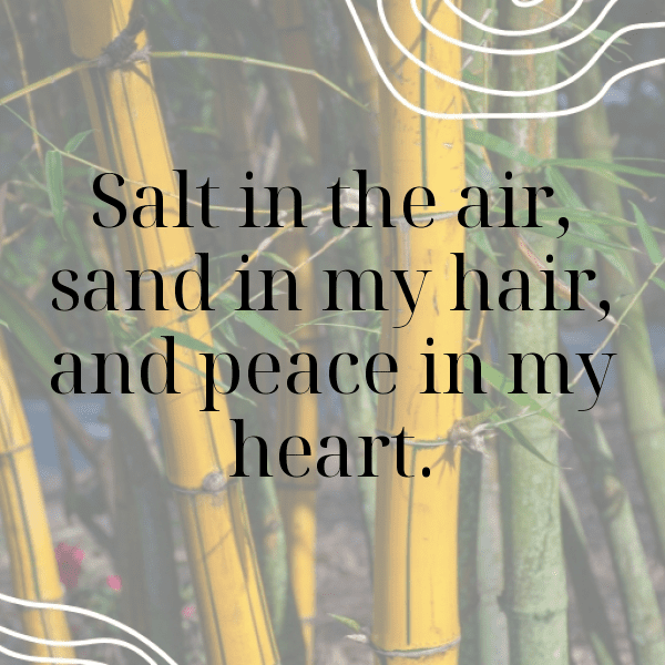 Sea Beet Captions Image For Instagram-3ktbbR