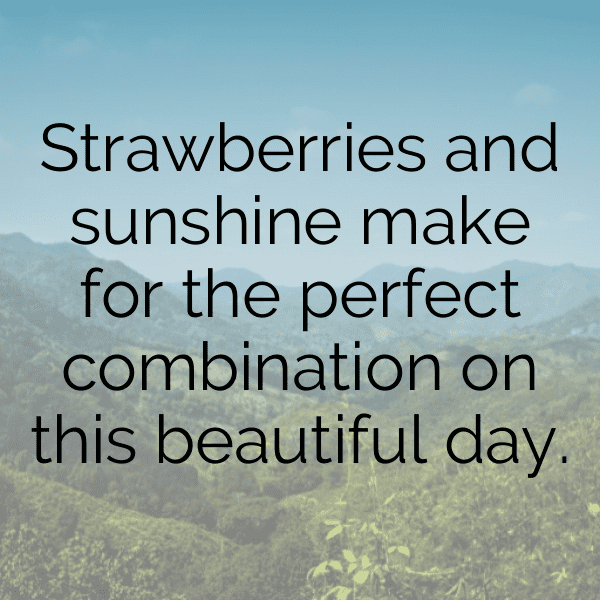 Sea Buckthorn Captions Photo For Instagram-h7FYEN