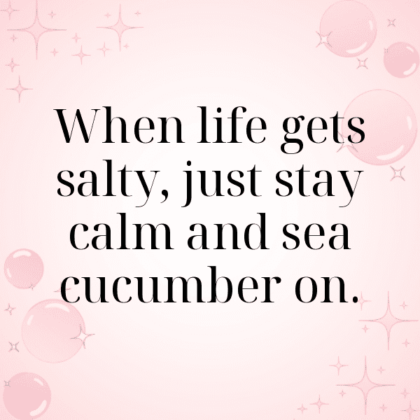 Sea Cucumber Captions Photo For Instagram-ChWM1Z
