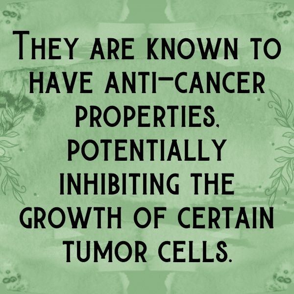 Sea Cucumber Captions Photo For Instagram-kllRx8