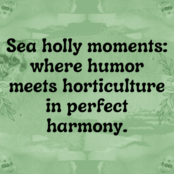 Sea Holly Captions Photo For Instagram-p9nIEJ