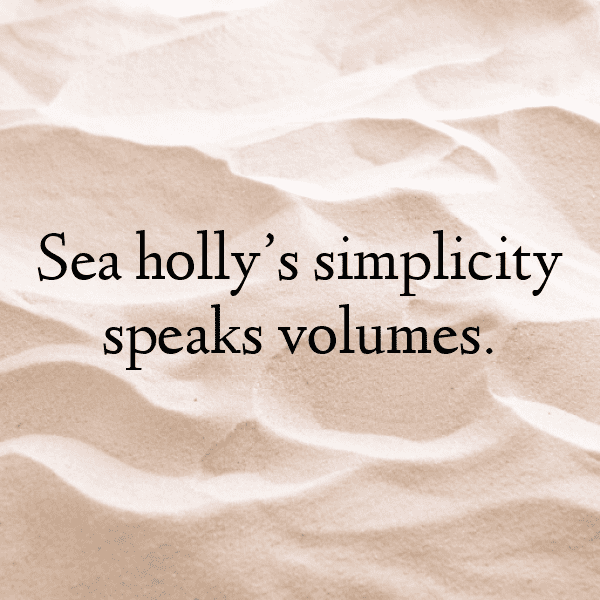 Sea Holly Captions Photo For Instagram-yg1rN2