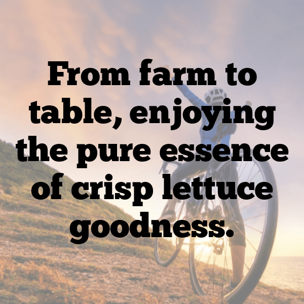 Sea Lettuce Captions Image For Instagram-Pu3uf7