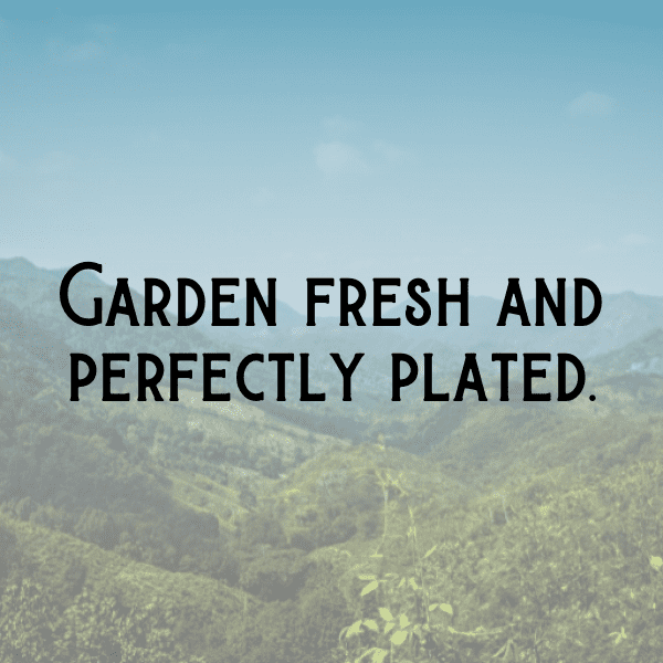 Sea Lettuce Captions Image For Instagram-SGjqs7