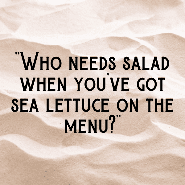 Sea Lettuce Captions Image For Instagram-X7vWoF