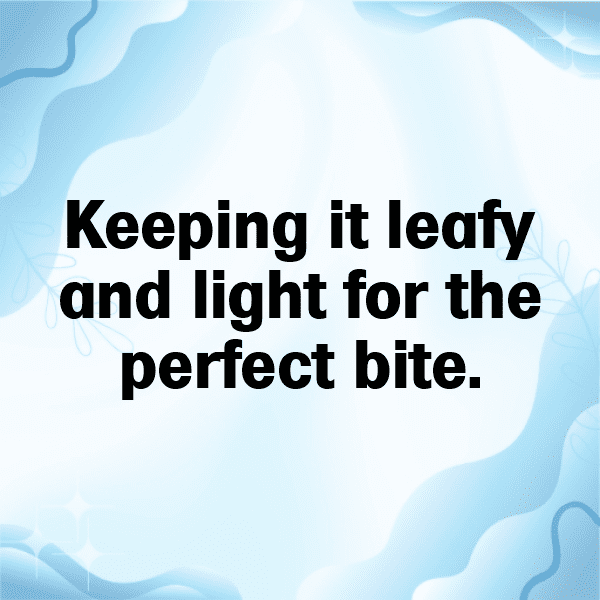 Sea Lettuce Captions Photo For Instagram-ApGUeY