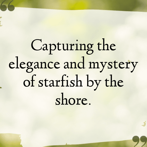 Sea Urchin Captions Image For Instagram-UDYg4U