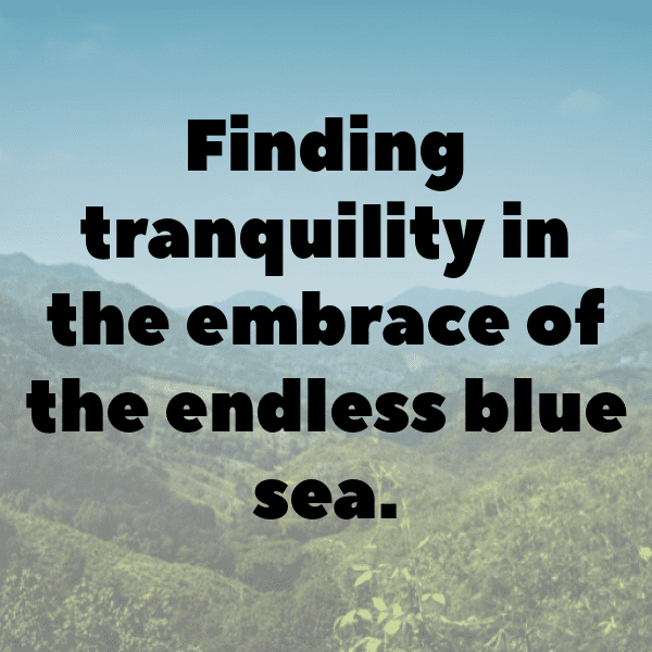 Sea Urchin Captions Photo For Instagram-ABxuhu