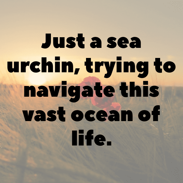 Sea Urchin Captions Photo For Instagram-MwbM2j