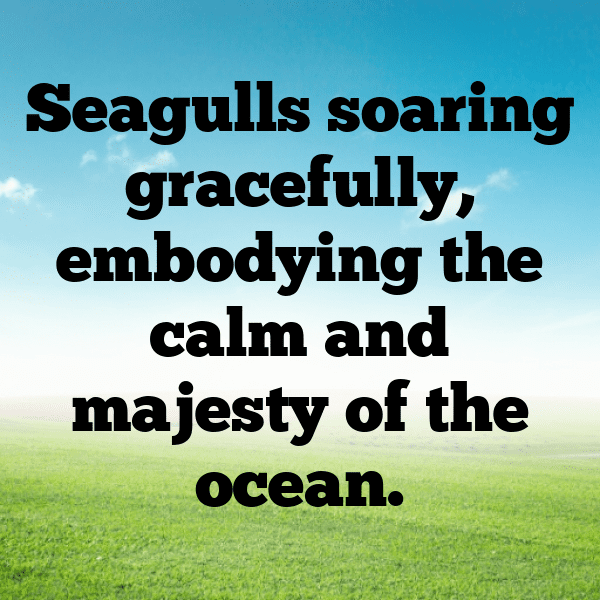 Seagull Captions Image For Instagram-0I1ULj