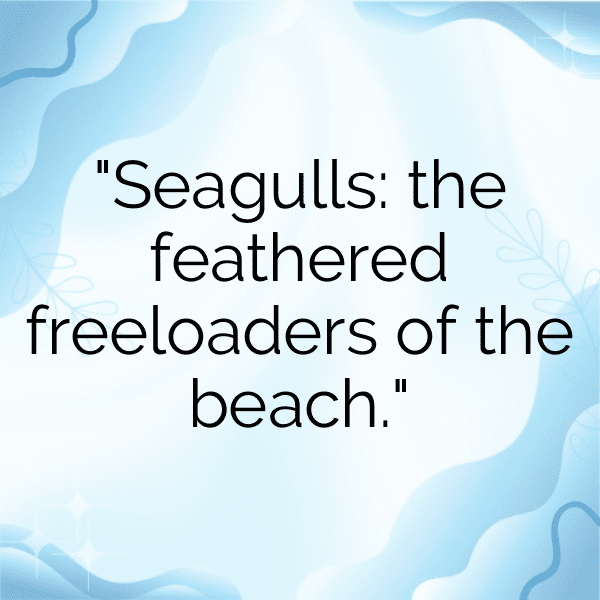 Seagull Captions Image For Instagram-3UyYCx