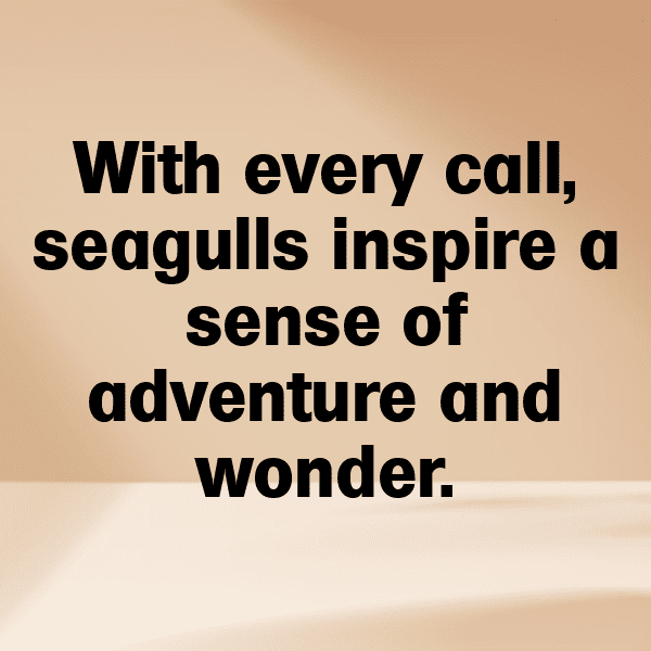 Seagull Captions Image For Instagram-mu6juL