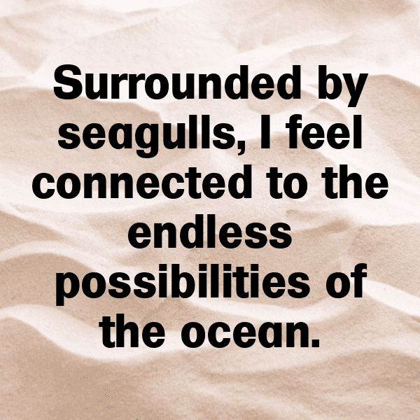 Seagull Captions Photo For Instagram-V2Etvw