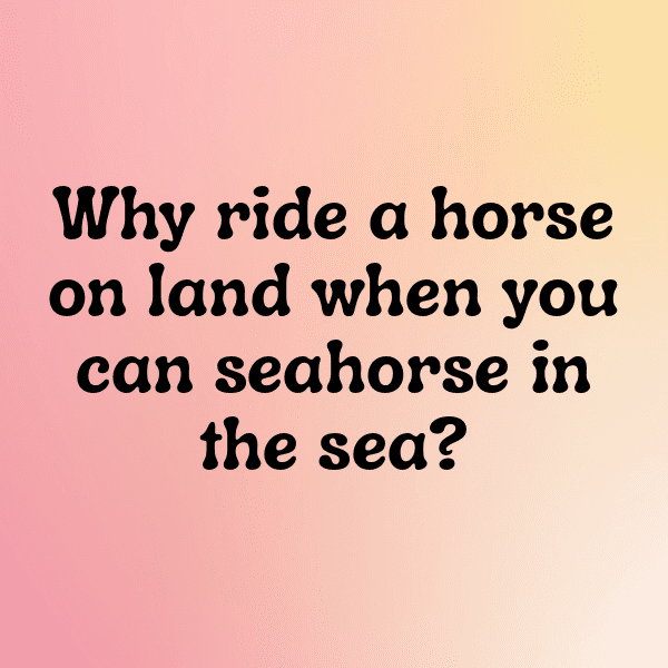 Seahorse Captions Image For Instagram-cTBvlj