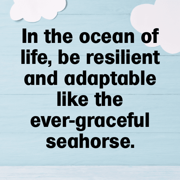 Seahorse Captions Image For Instagram-y4KiJG