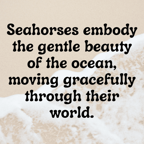Seahorse Captions Image For Instagram-zLoDYc