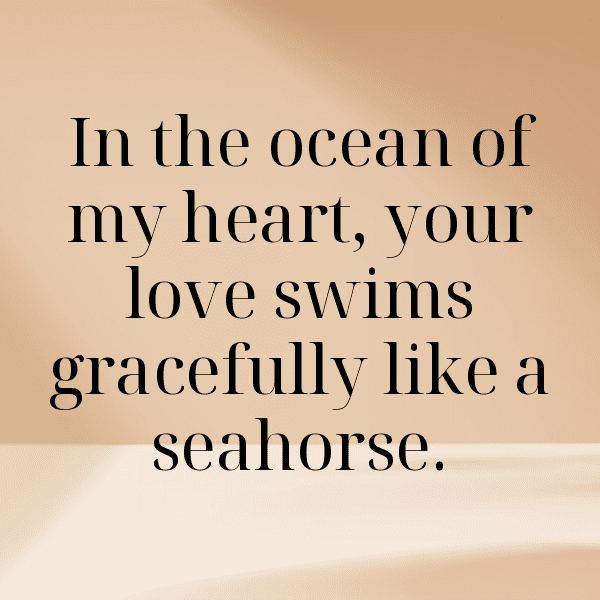 Seahorse Captions Photo For Instagram-bjiOPx