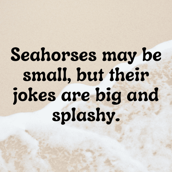 Seahorse Captions Photo For Instagram-FMsYLV