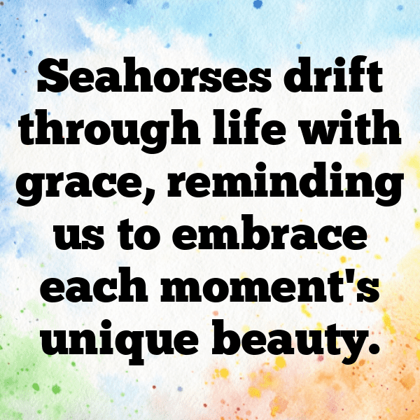 Seahorse Captions Photo For Instagram-vD5mmK