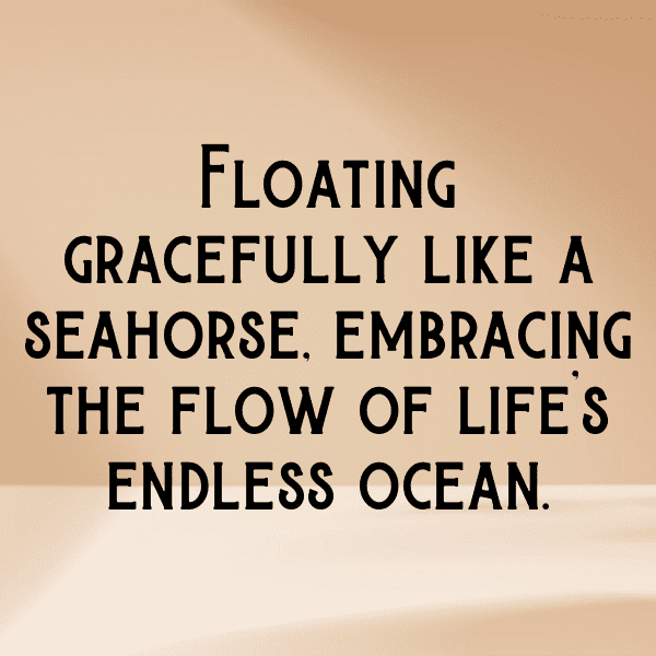 Seahorse Captions Photo For Instagram-wTilfU