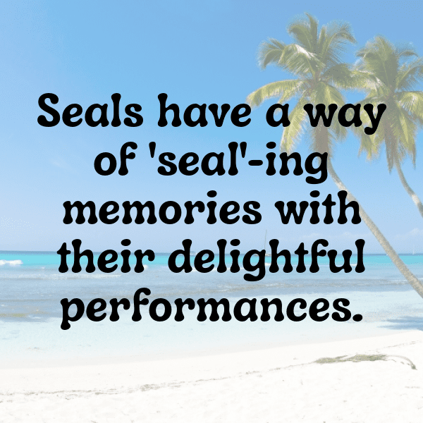 Seal Captions Image For Instagram-DhMIQx
