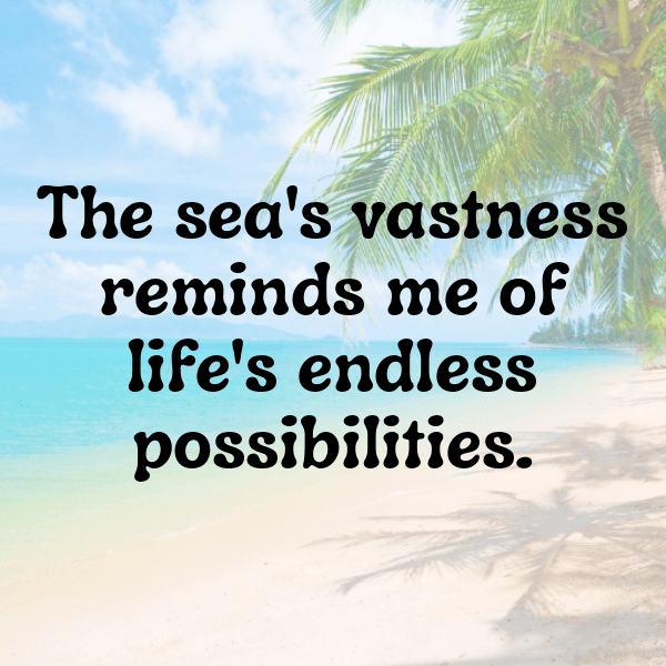 Seal Captions Image For Instagram-JWdSpC